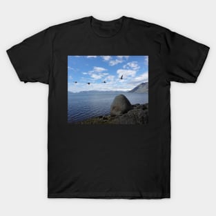 Iceland Coastal View T-Shirt